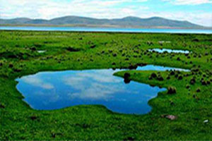 02. Red de Información y Comunicación sobre Paisaje